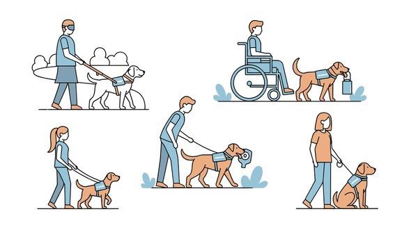 Assistenzhunde