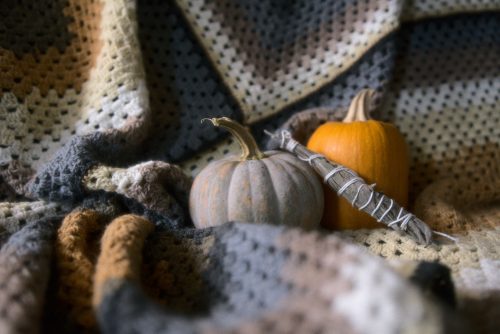 abigail-hodde-AoExEPqqJBs-unsplash